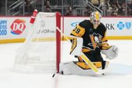 Alex Nedeljkovic of the NHL's Pittsburgh Penguins